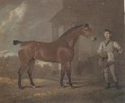 David Dalby The Racehorse 'Woodpecker' in a stall oil painting artist